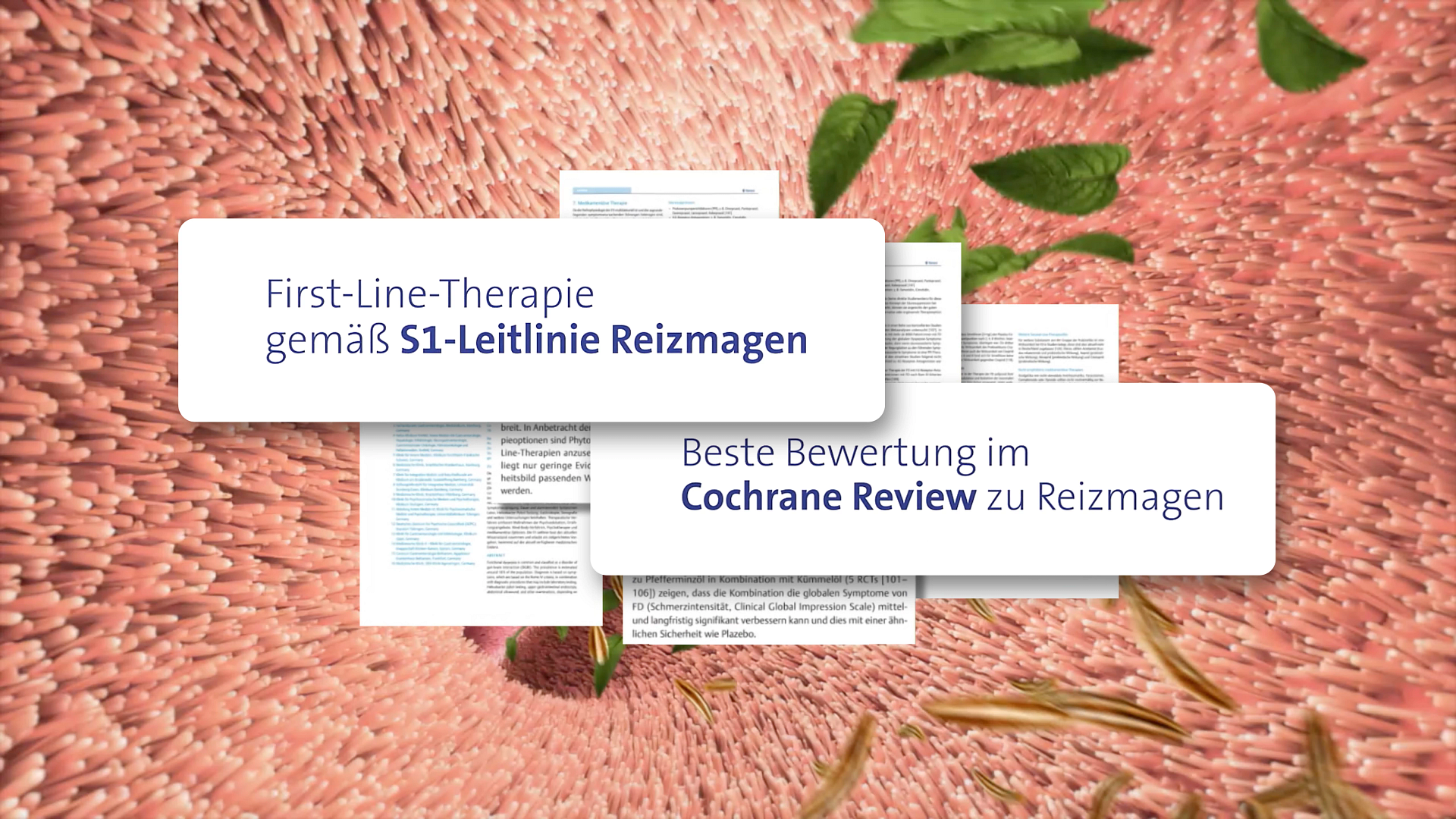 S1-Leitlinie &amp; Cochrane Review